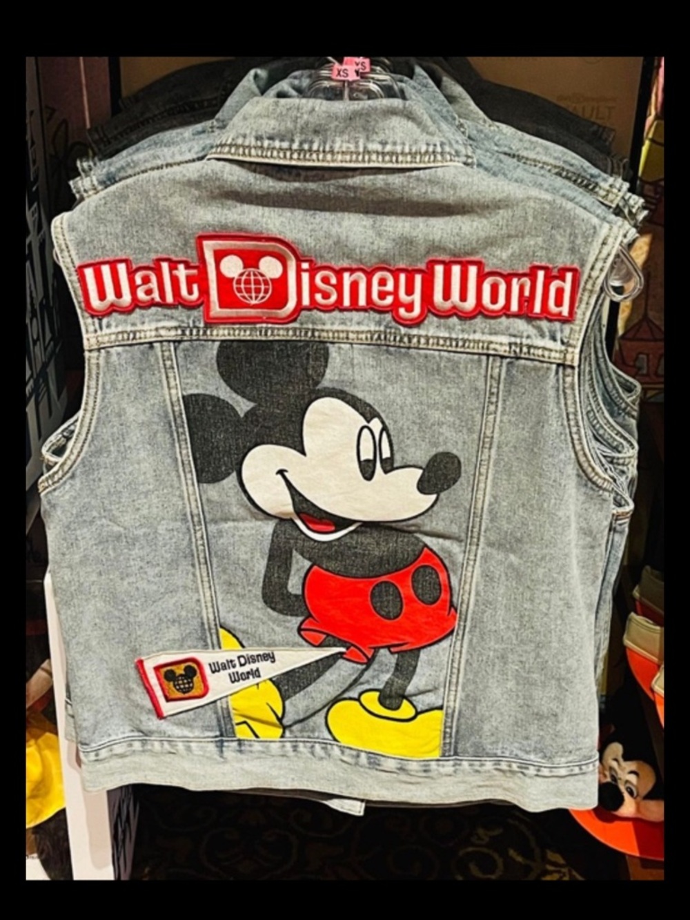 Vault Collection” at Magic Kingdom